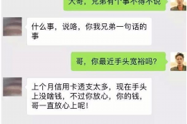 莲湖企业清欠服务